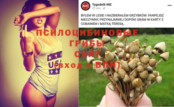 твердый Баксан